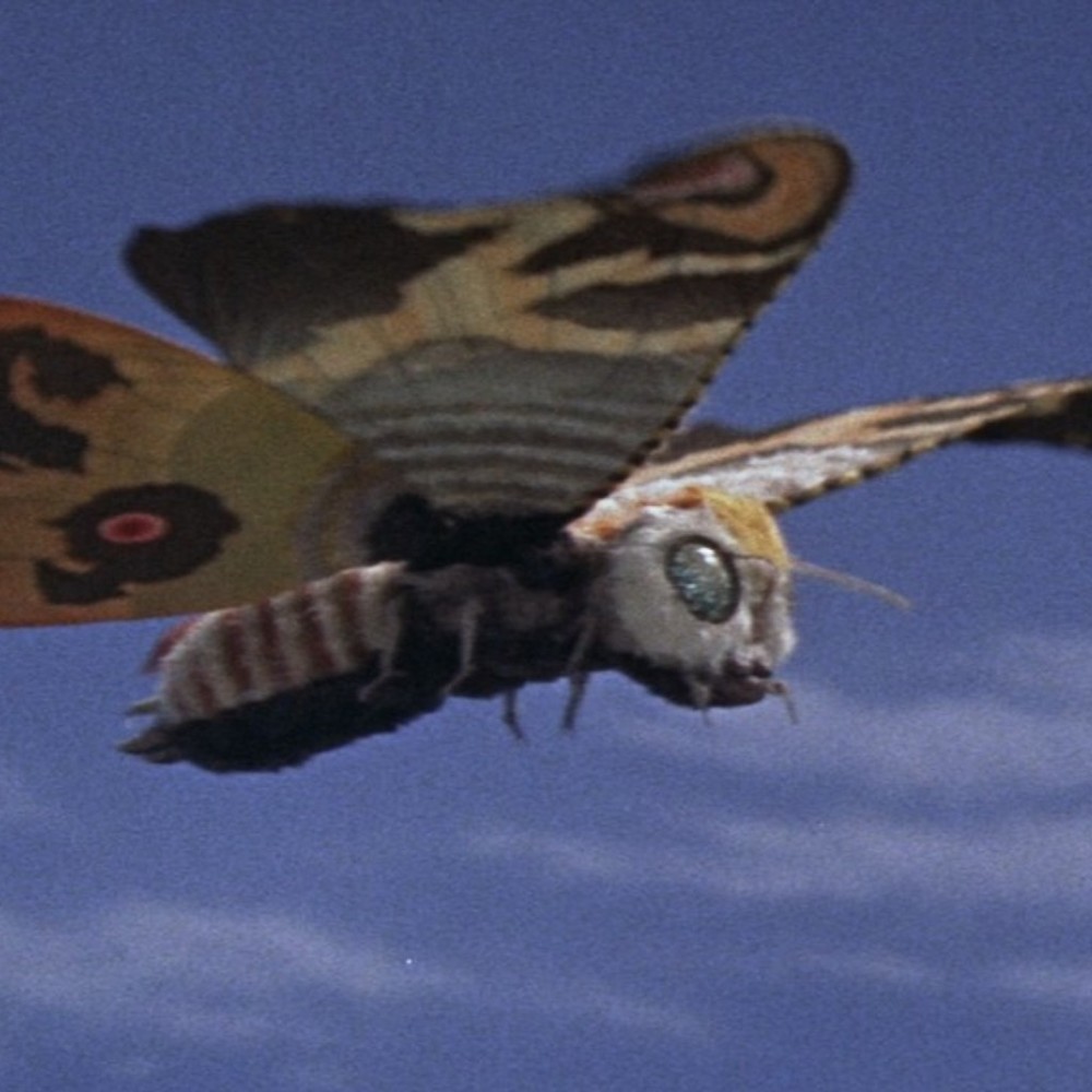 Meet your Posher, Mothra